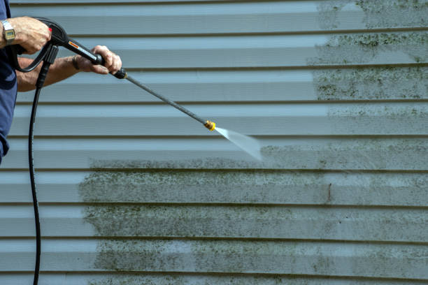 Animal Enclosure Cleaning in Maurice, LA