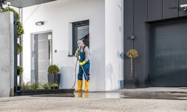 Solar Panel Cleaning in Maurice, LA